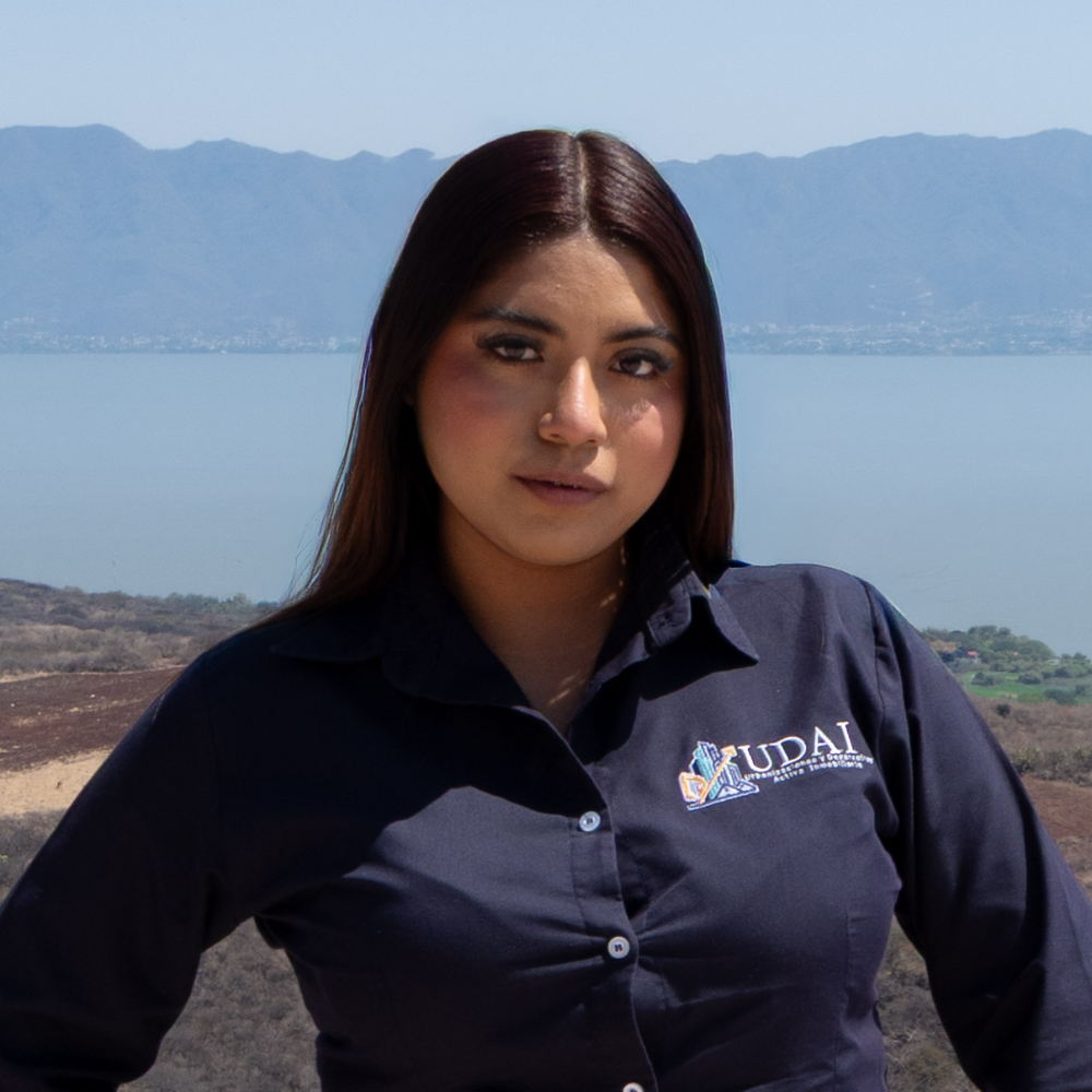 Consultor Inmobiliario